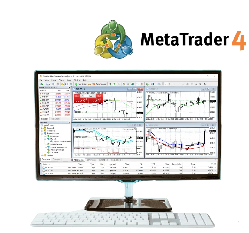 Metatrader 4 Exness Web Terminal trade in PC