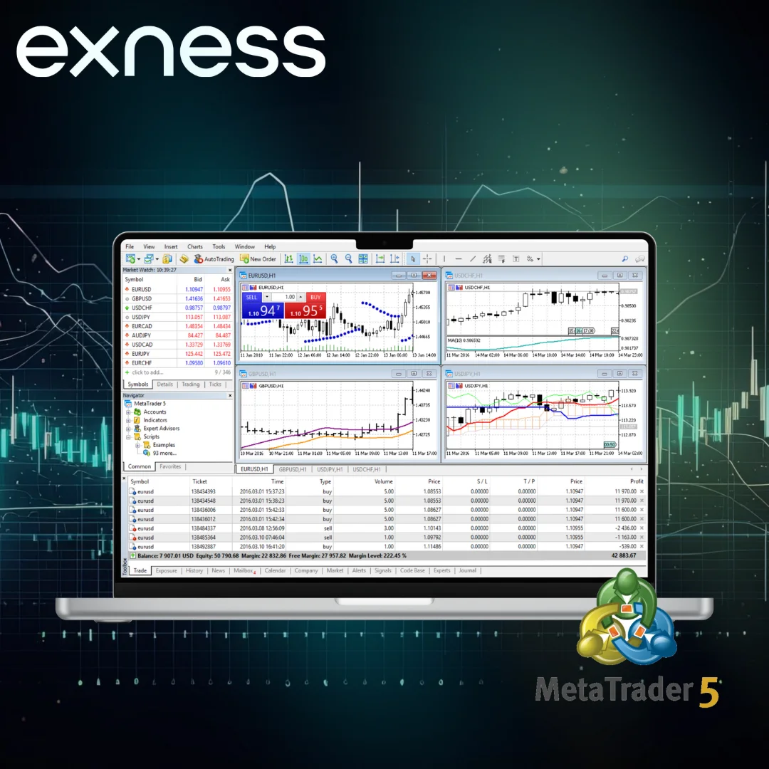 Exness Forex Broker For Dollars Seminar