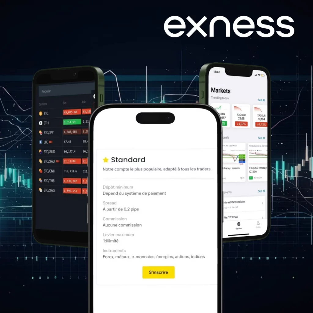 Account types cater to both beginners and experienced traders at Exness